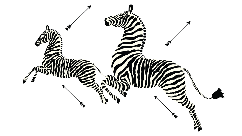 Prancing Zebras